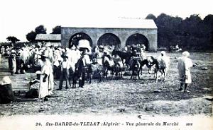 Sainte-Barbe-du Tlelat - Marche - 1910